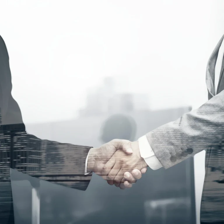 Digitide Solutions Restructures to Acquire Alldigi Tech