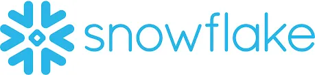 Digitide Solutions Limited - Snowflake Logo